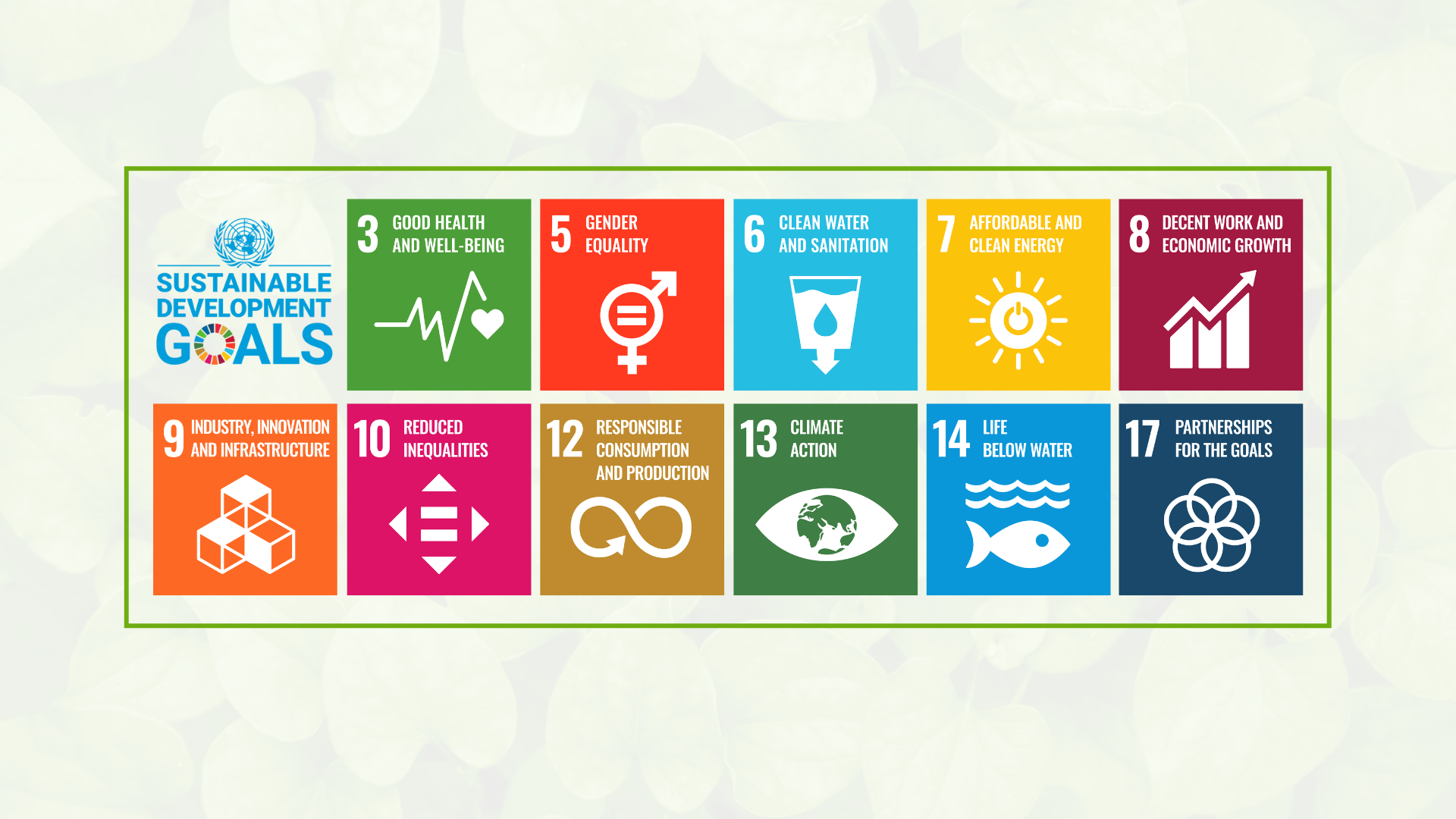 SDG goals