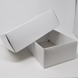 Computer Label Carton